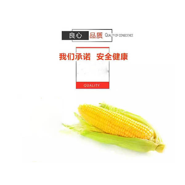 即食玉米加工设备都有哪些
